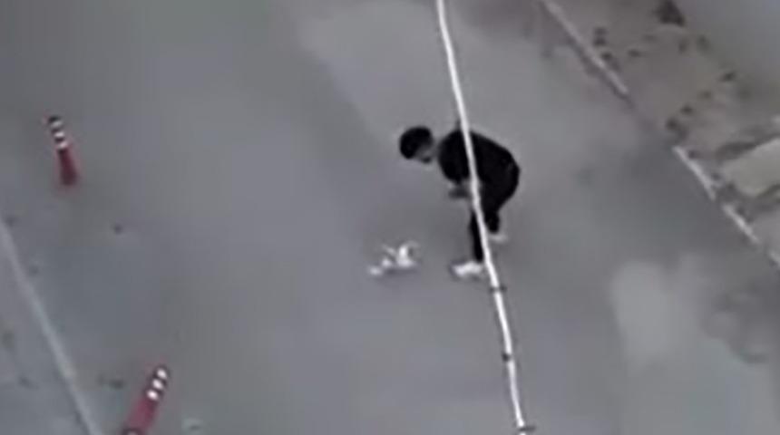 Sokak ortasında köpeğine eziyet etmişti!  Tekrar gözaltına alındı