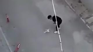 Sokak ortasında köpeğine eziyet etmişti!  Tekrar gözaltına alındı