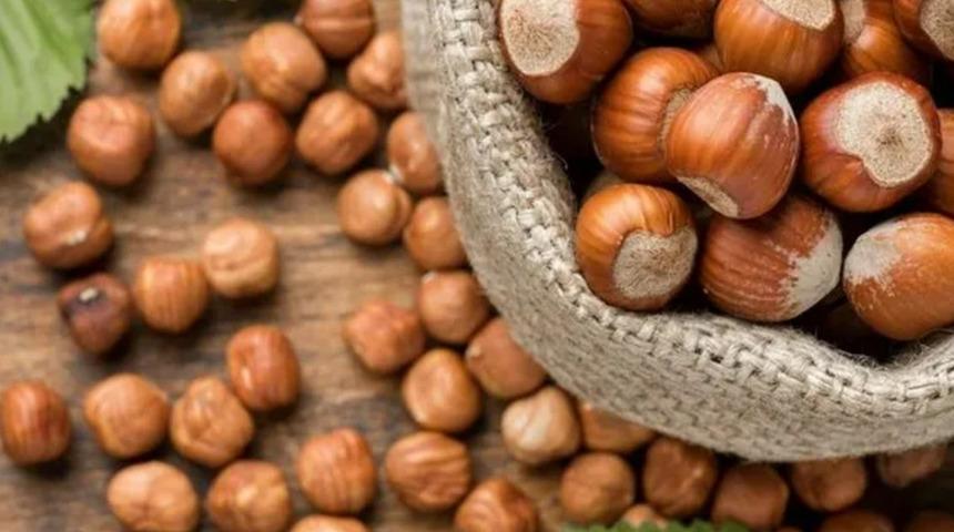 Fındık alım fiyatı belirlendi! 
