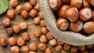 Fındık alım fiyatı belirlendi! 