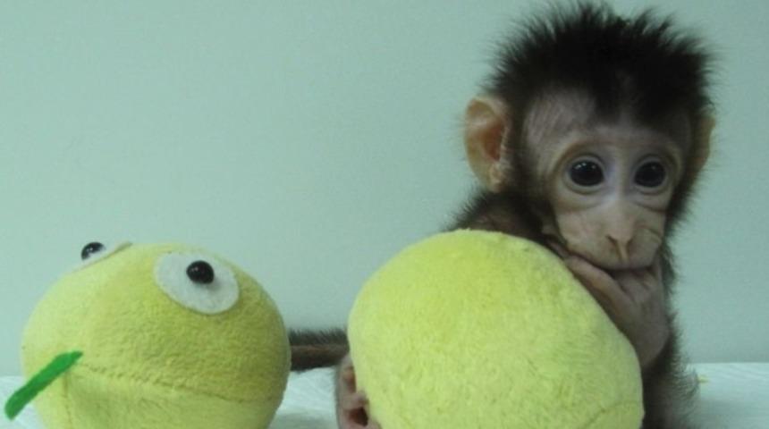 Bilim dünyasından şok açıklama! İnsan klonlamaya bir adım kaldı