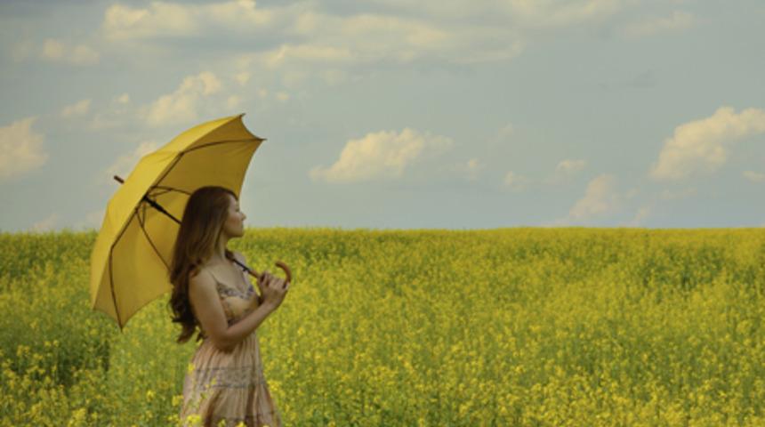 28 G&uuml;nl&uuml;k Değişim: 19. G&uuml;n