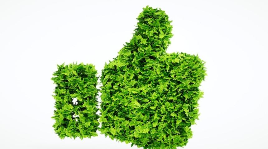 Evinizin bir k&ouml;şesine bir bardak su, tuz ve sirke koyun olacakları g&ouml;r&uuml;n