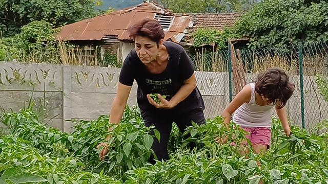 İşini bıraktı, İstanbul'dan taşınıp köye yerleşti! 