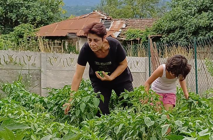 Masabaşı işini bıraktı, İstanbul'dan taşınıp köye yerleşti! Hayatı değişti 'Beni resmen iyileştirdi, gençleştirdi'