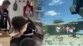 İstanbul'da skandal olay! Barınağa bırakılan hayvanları parayla satmış