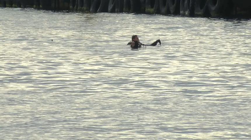 Üsküdar’da denize düşen kadın hala aranıyor! İntihar mı, kaza mı?