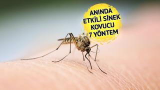 'Kaşıma daha çok kaşınır' Sivrisineklerden kurtulmanın etkili ve doğal yolları! Kokusunu aldığı an kaçıyorlar