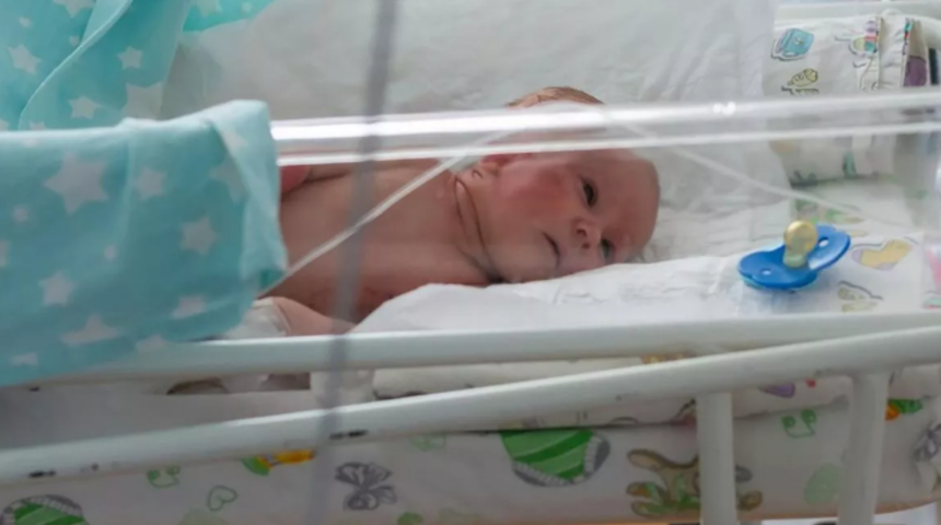 Cani anne yeni doğan bebeğini karınca yuvasının ortasına terk etti! Kedi miyavlaması zannettiler bebek çıktı: "Her yeri ısırıklarla kaplıydı"