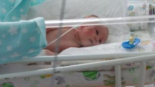 Cani anne yeni doğan bebeğini karınca yuvasının ortasına terk etti! Kedi miyavlaması zannettiler bebek çıktı: Her yeri ısırıklarla kaplıydı