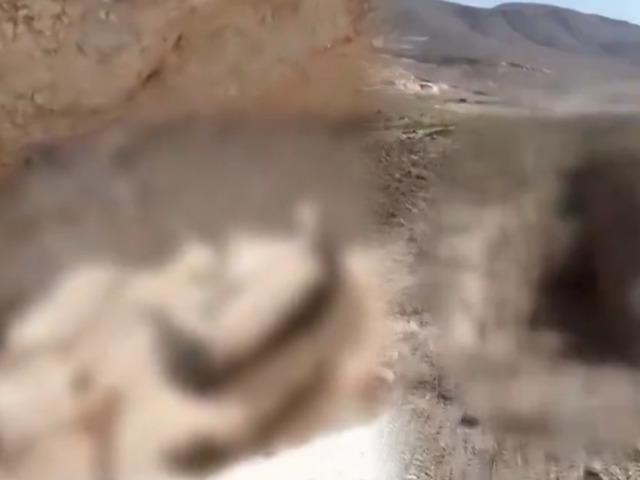 Niğde'de toplu k&ouml;pek itlafı iddiası! G&ouml;r&uuml;nt&uuml;ler sosyal medyayı ayağa kaldırdı