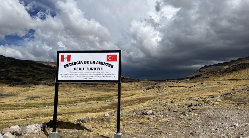 TİKA'nın desteğiyle Peru’da "alpaka çiftliği" kuruldu