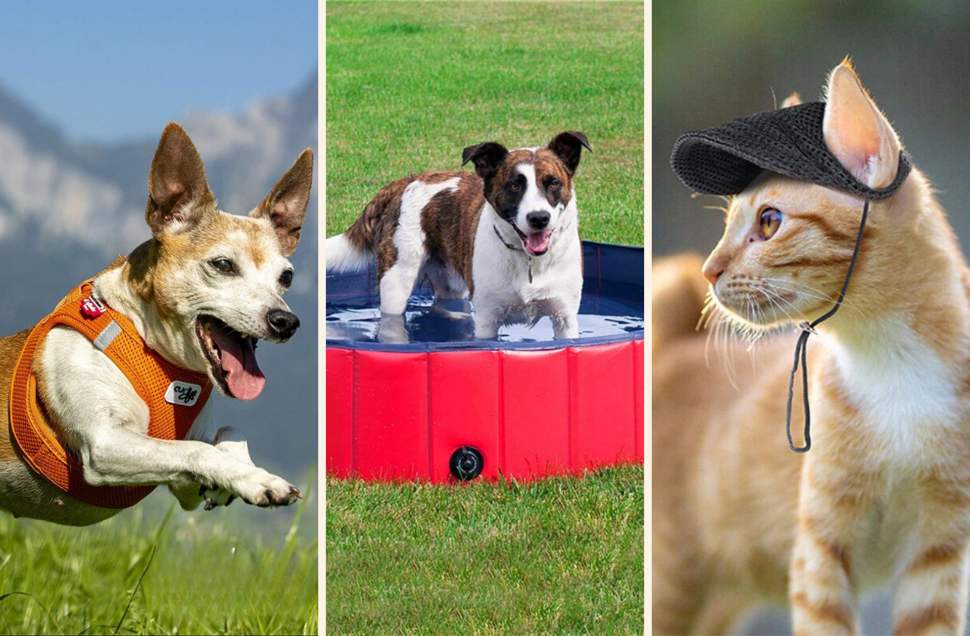 Kedi ve köpekler için yaz sıcaklarına karşı serinletici ürünler