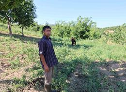 Fiyatı 105 TL ile başladı, 15 TL'ye kadar düştü! 'Çok para ediyor diye herkes yöneldi, şimdi...'