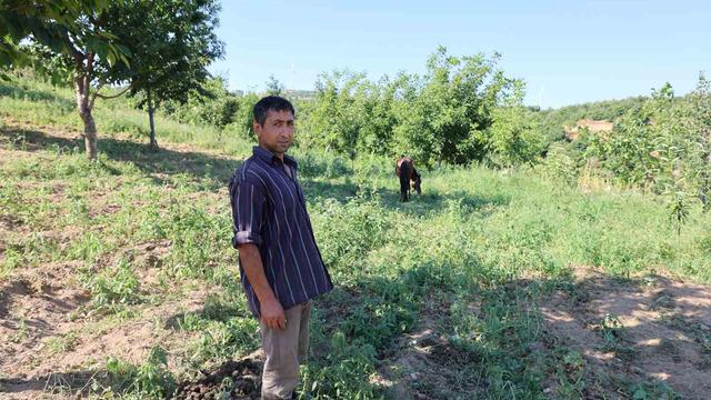 Fiyatı 105 TL ile başladı, 15 TL'ye kadar düştü! 'Çok para ediyor diye herkes yöneldi, şimdi...'