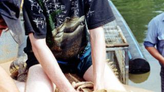 İşkence evi tasarladı! Düzinelerce köpeğe tecavüz edip işkenceyle öldürdü... Detaylı itirafları kan dondurdu: Dinleyemeyip mahkemeyi terk ettiler