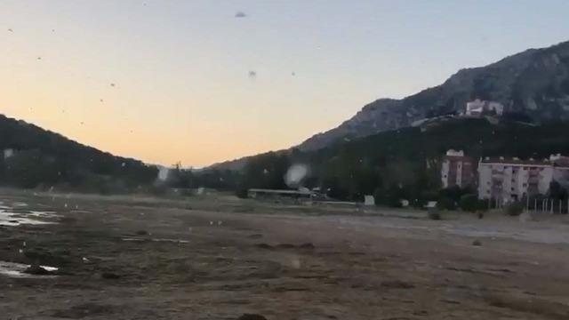 Önce kuraklık sonra sinek istilası! Ispartalılar isyan etti: ''Sokakta gezemiyoruz''