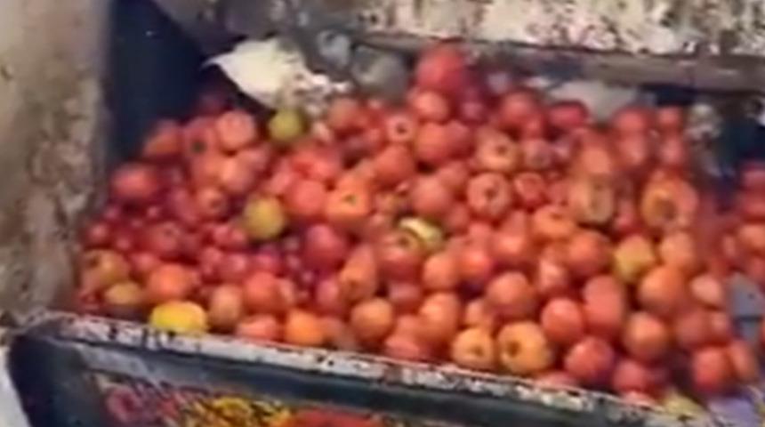 Kasalarca domates çöpe dökülmüştü! Gündem olan görüntüler sonrasında açıklama geldi