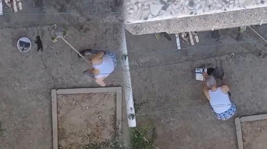 Manisa'da vahşet! 3 yavru kediyi fırça sapıyla öldürdü, o anlar kameraya yansıdı