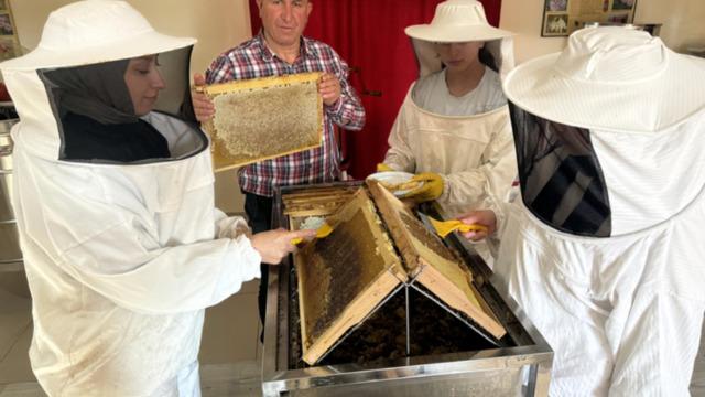 Tescilli lezzetin kadın eliyle sofralara yolculuğu başladı! Dünyanın en önemli arı ırkı üretiyor