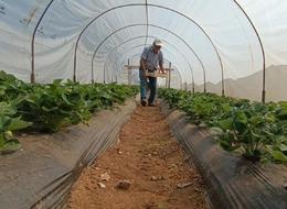 Hobi olarak başladı, tonlarca üretiyor! 'Kendi kafama göre yaptım, iyi ki de yapmışım' Herkes o soruyu soruyor