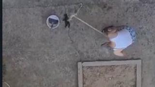 3 yavru kediyi sopayla vura vura vahşice öldürdü! Caninin akıbeti belli oldu