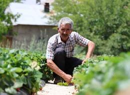 Sırrını Almanya'dan öğrendi, gelip Sivas'ta aynen uyguladı! 'Garanti veririm'