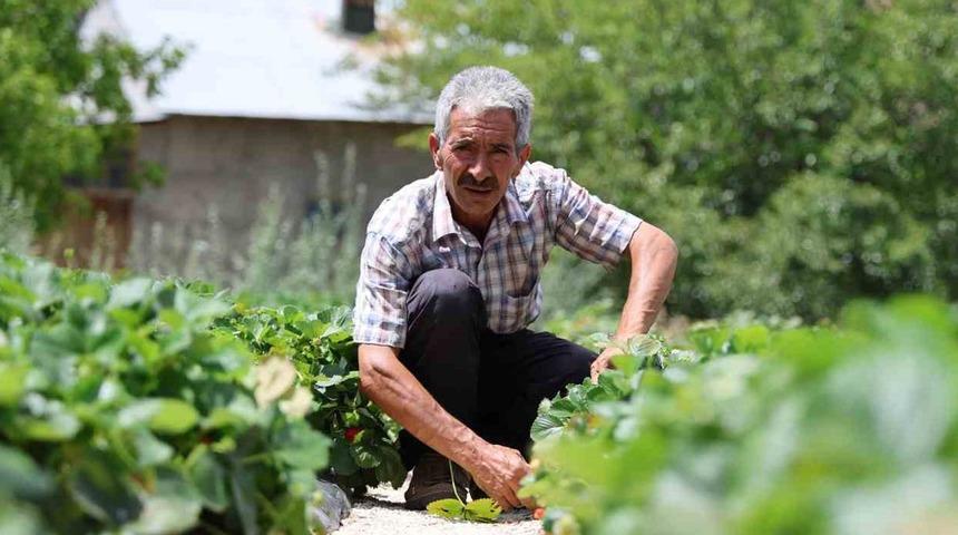 Sırrını Almanya'dan öğrendi, gelip Sivas'ta aynen uyguladı! 'Garanti veririm'