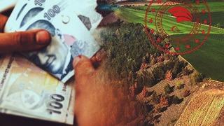 Bakanlık duyurdu! Mirasçılara her ay maaş ödemesi yapılacak …