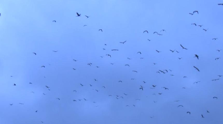 İstanbul hava sahasında alarm! Uçuş trafiği değişiyor... O uyarı kayıtlara yansıdı
