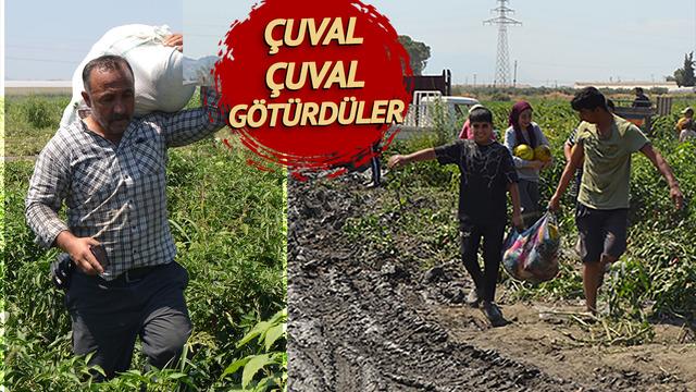 Ücretsiz verileceğini sosyal medyadan duyurdular, duyan akın etti! 600 ton karpuz ve kavun bedava dağıtıldı