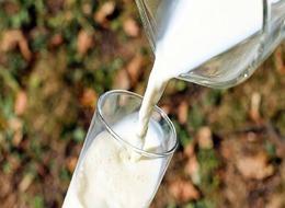 Toplanan inek sütü miktarı haziranda yıllık yüzde 6,4 arttı