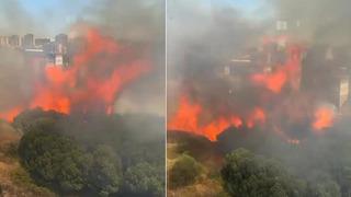 İstanbul'da korkutan yangın! Ağaçlık alana sıçradı