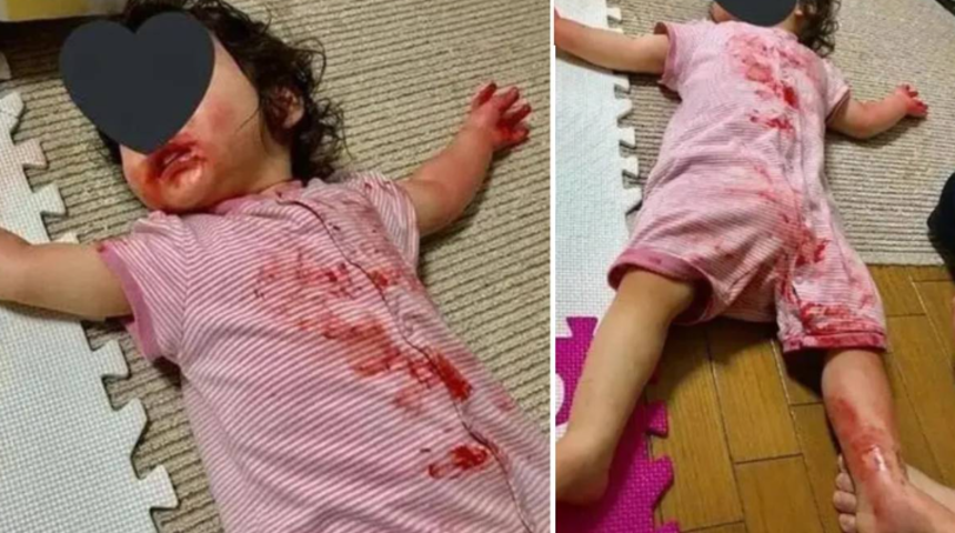 3 yaşındaki kızını evde yalnız başına bırakan anne geri döndüğünde bu manzarayla karşılaştı! Yerde hareketsiz bir halde yatıyordu... "Korkudan ne yapacağımı bilemedim"