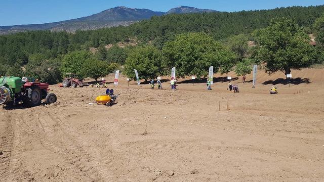 Dünyanın en pahalısı! Fiyatı 250 bin TL... O ilçede 10 dekarlık alanda üretilecek