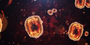 Afrika'dan Avrupa'ya sı&ccedil;radı! "Maymun &ccedil;i&ccedil;eğinin tehlikeli bir varyantını tespit ettik"