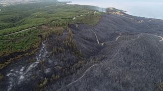 Yer: Çanakkale! Acı tablo gün ağarınca göründü...
