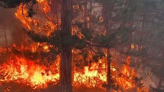 Ülkenin sol ciğeri yanıyor… Bakanlık uyardı! Önümüzdeki 3 günü işaret etti
