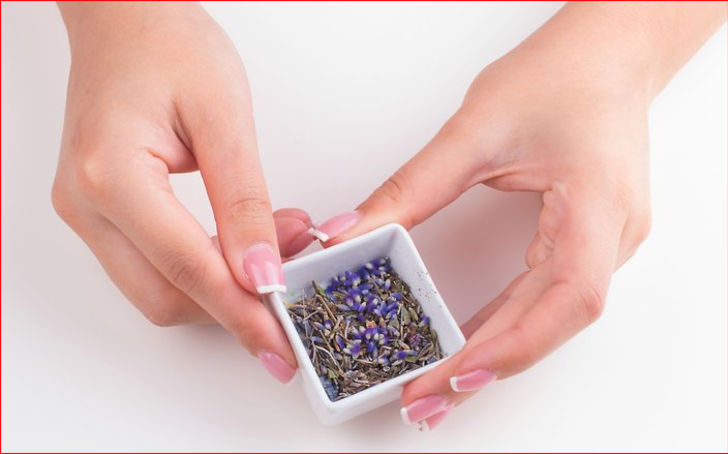 Lavanta yağı nasıl yapılır? G1