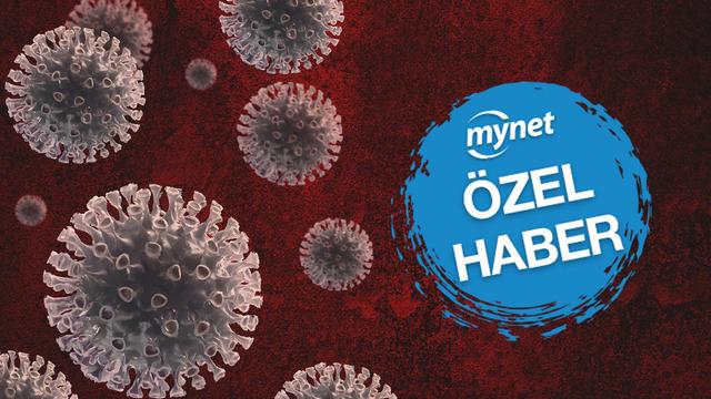 MYNET ÖZEL  | Maymun çiçeği belirtileri neler? Nasıl bulaşıyor? Tüm dünya alarma geçti... Dr. Songül Özer uyardı: Ölümcül olabilir!