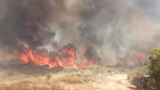 Aydın'ın Didim ilçesinde başlayan orman yangını kontrol altına alındı! Bozdoğan ilçesinde yangın sürüyor...
