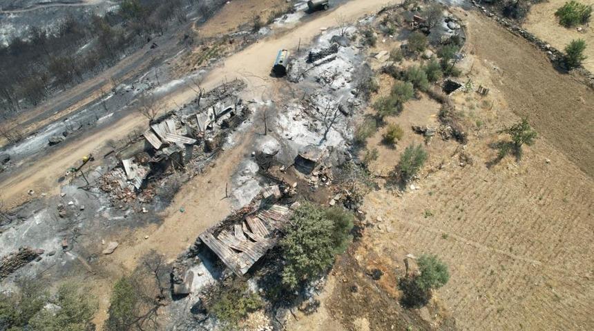 Manisa'daki orman yangınında acı tablo