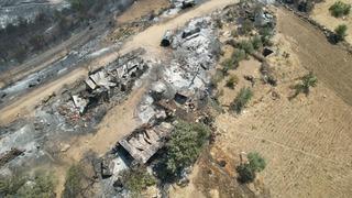 Manisa'daki orman yangınında acı tablo