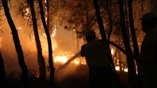 SON DAKİKA | Muğla Yatağan ve Ula'da orman yangını! Arıcılar sebep olmuş: 3 kişi gözaltına alındı