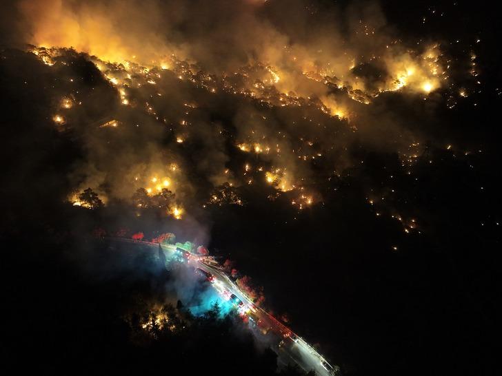 İzmir çok ucuz atlatmış! Çok konuşulacak '365 gün yasak ve 100 metre' önerisi: Şehir yangına teslim olabilirdi G1