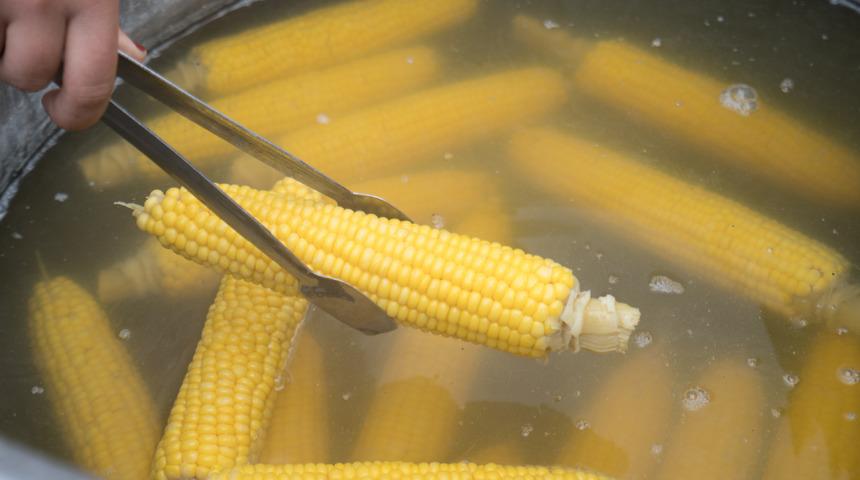 Haşlanmış mısır tarifi: Haşlanmış mısır nasıl yapılır?