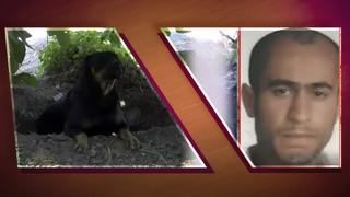 İstanbul'un göbeğinde köpek saldırısında hayatını kaybetti! Yakınları isyan etti: 'Köpekler boğazını koparmış'