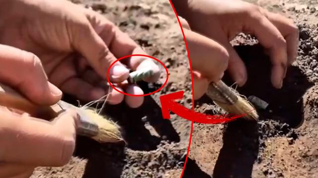 Kütahya’da bulundu! İlk örnek olarak kayıtlara geçti, ‘saldırı’ detayı dikkat çekti