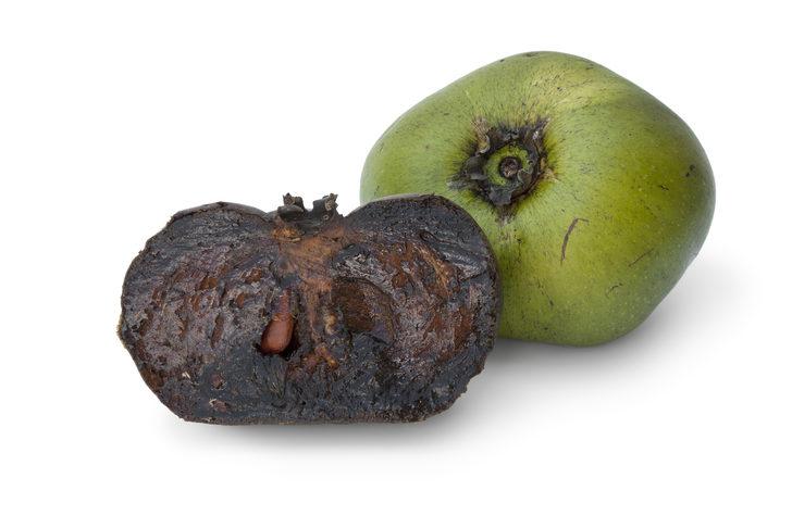 Siyah sapote