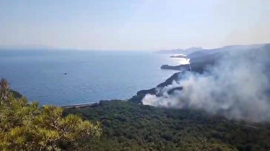 Datça’daki orman yangınıyla ilgili tutuklu sayısı 2’ye yükseldi